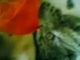 खूबसूरत श्यामला प्रेमिका एक सेक्स टेप बनाना सेक्सी ब्लू पिक्चर हिंदी मूवी चाहती है