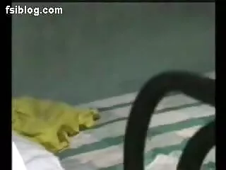 हार्ड डिक उसकी बकवास छेद को तबाह कर मूवी पिक्चर सेक्सी वीडियो देता है
