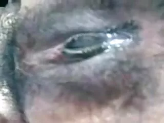 वीडियो-चैट सेक्सी पिक्चर मूवी
